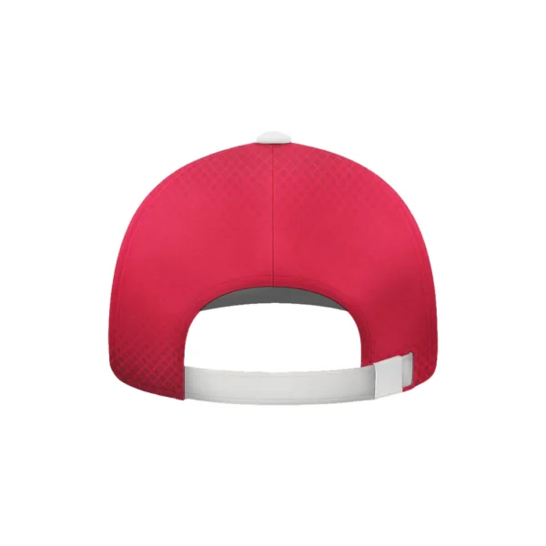 HVN1080AH062025CAP2