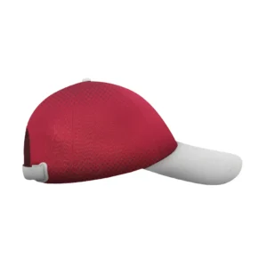 HVN1080AH062025CAP4