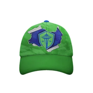 HVN1098SS063025CAP3